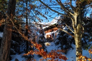 IMG_20231216_152039